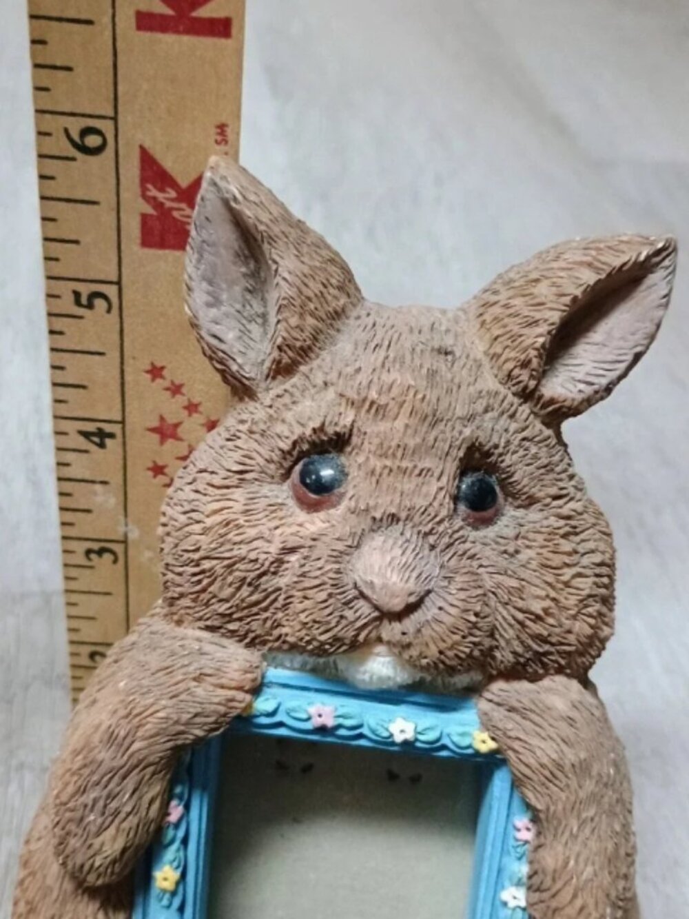 Small Brown Bunny Rabbit - Picture 2 of 4
